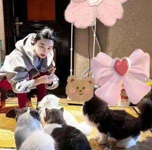 ​44 岁范冰冰素颜撸猫，红秋裤配卫衣在自家豪宅放飞自我