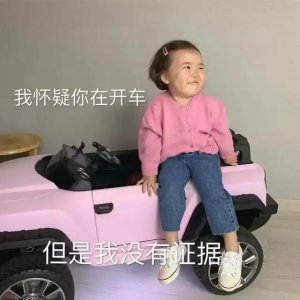 ​表情包:我怀疑你在开车，但是我没有证据。