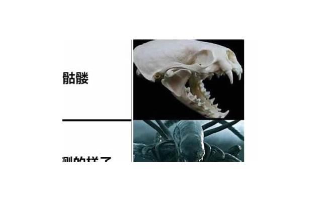 每日一笑经典段子