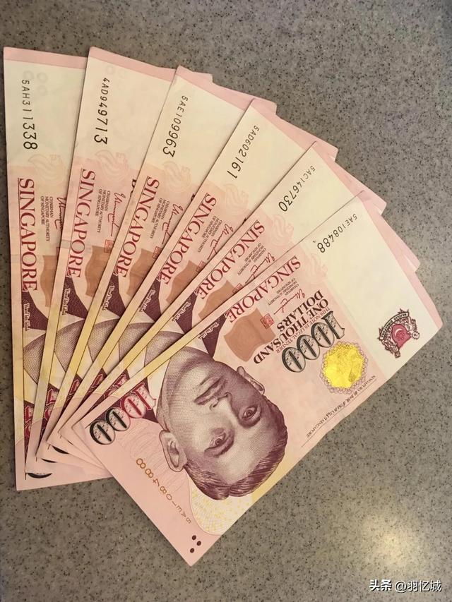 新加坡旅游三天自由行攻略（宝藏级的新加坡旅游攻略）(6)