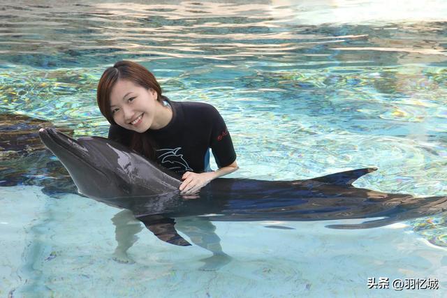 新加坡旅游三天自由行攻略（宝藏级的新加坡旅游攻略）(22)