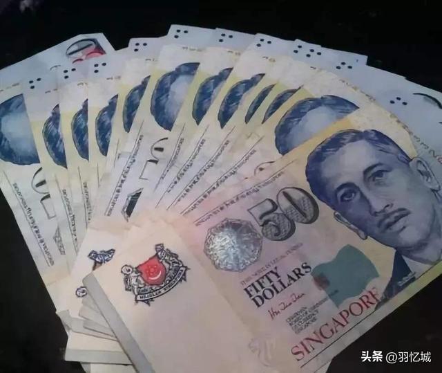 新加坡旅游三天自由行攻略（宝藏级的新加坡旅游攻略）(7)