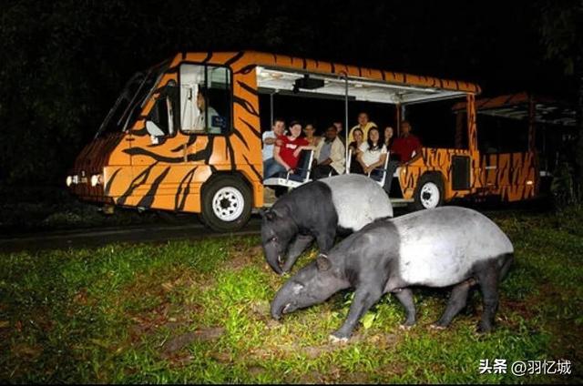 新加坡旅游三天自由行攻略（宝藏级的新加坡旅游攻略）(43)