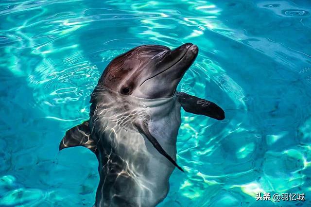 新加坡旅游三天自由行攻略（宝藏级的新加坡旅游攻略）(21)