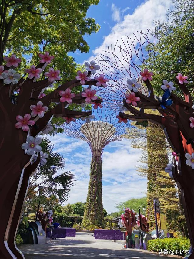 新加坡旅游三天自由行攻略（宝藏级的新加坡旅游攻略）(26)