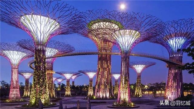 新加坡旅游三天自由行攻略（宝藏级的新加坡旅游攻略）(28)