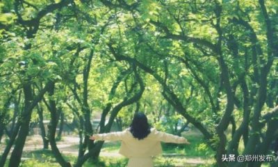 ​郑州樱桃沟景区将于4月18日起恢复开放