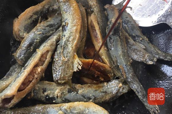 泥鳅怎么做好吃又营养干净（泥鳅这样做最美味）(9)