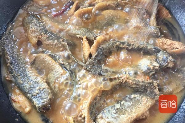泥鳅怎么做好吃又营养干净（泥鳅这样做最美味）(12)
