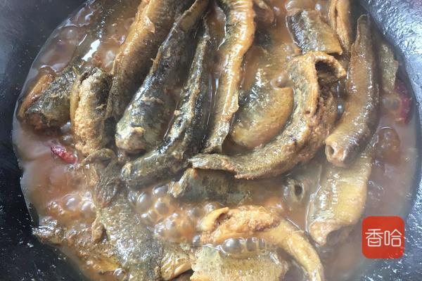 泥鳅怎么做好吃又营养干净（泥鳅这样做最美味）(13)