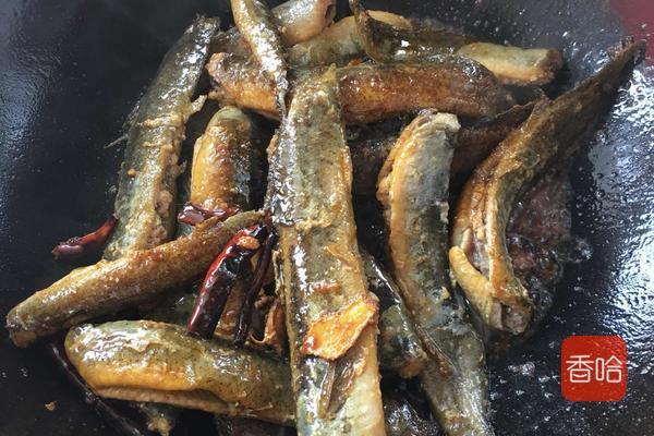 泥鳅怎么做好吃又营养干净（泥鳅这样做最美味）(10)