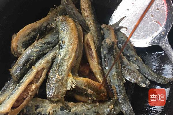 泥鳅怎么做好吃又营养干净（泥鳅这样做最美味）(8)
