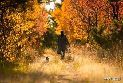 ​《百战奇略》原文 译文（一）