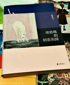 ​《房思琪的初恋乐园》，是怎么被歪曲近10年的？