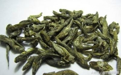 ​四大奇茶——安徽泾县“琴鱼茶”