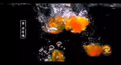 ​《宅人食堂》第二季宣传片震撼发布：食亦有魂！