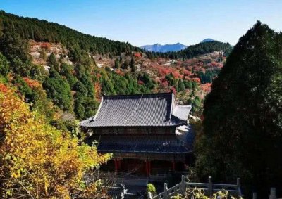 ​济南周边自驾游，不出名但风景极佳，周末出游首选