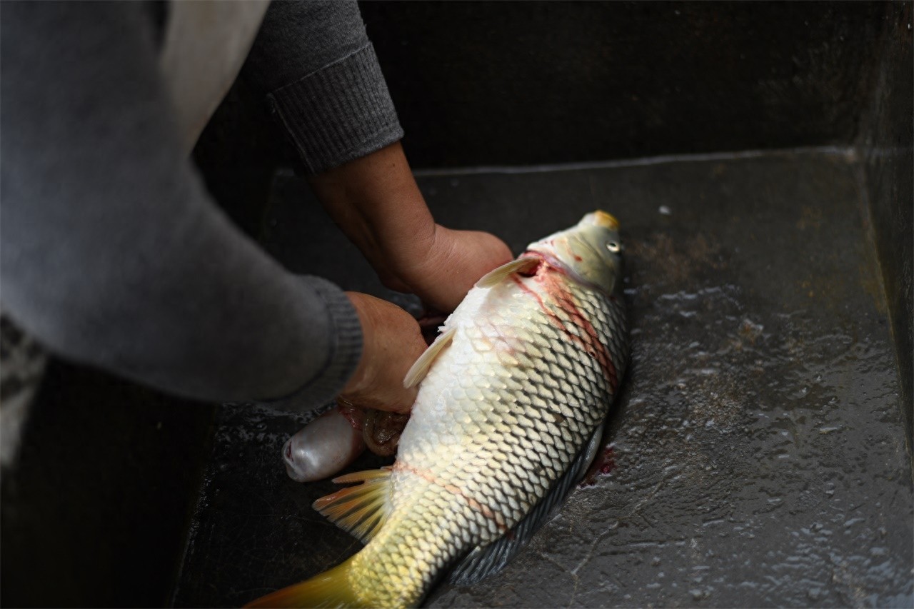 农村大妈做野生黄河鲤鱼，二十五块钱一斤，笑称比猪肉还便宜