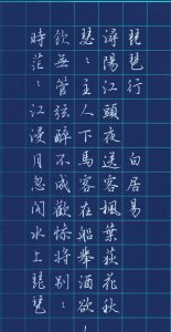 ​琵琶行长篇完整版，字字秀丽灵动