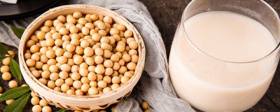 ​豆浆的家常做法