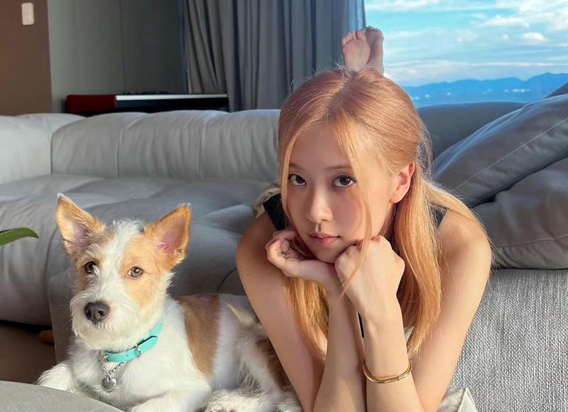 情人和知己的区别总结的很精辟，情人和知己的区别,总结的很精辟