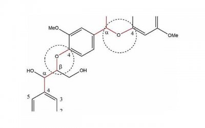 ​虚伪的意思怎么解释