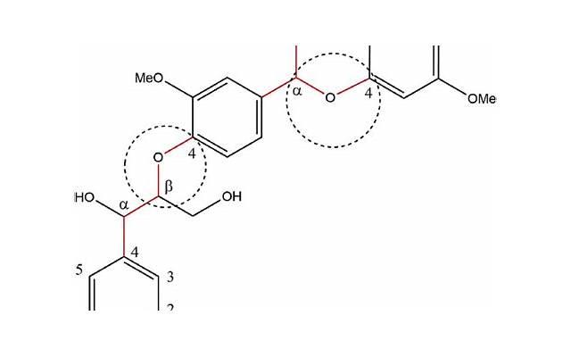 虚伪的意思怎么解释