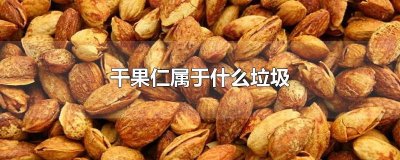 ​干果仁属于什么垃圾