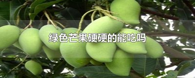 ​绿色芒果硬硬的能吃吗