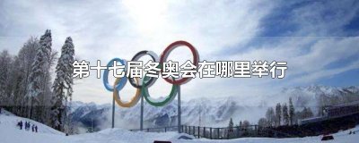 ​第十七届冬奥会在哪里举行