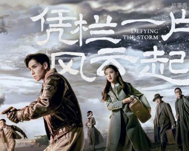 ​凭栏一片风云起剧情结局（张启儿女双全结局是HE）