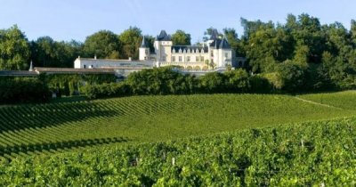 ​红酒级别igp(红酒级别aop)