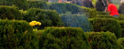 ​寒食节来历 寒食节的历史典故是什么