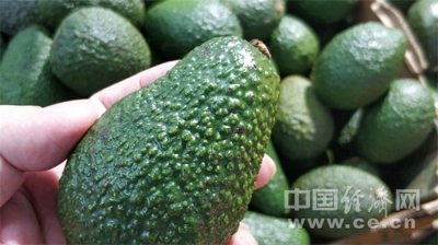 ​牛油果的营养价值（牛油果“颜值”不高、口感无味？它的功效你想不到的多哦！