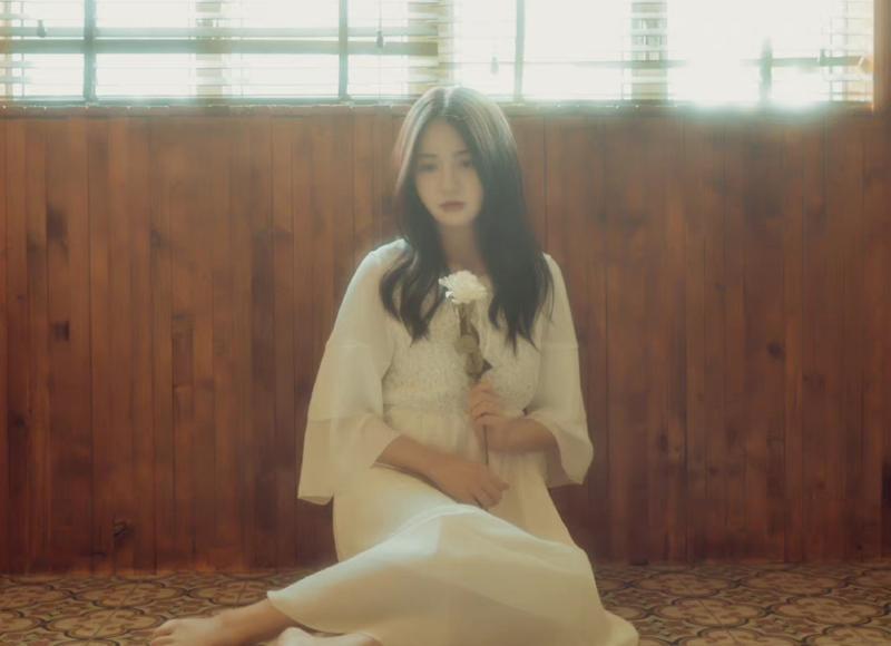 单身过情人节什么体验（单身的人情人节是怎么度过的）