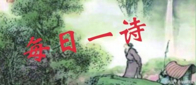 ​游子吟古诗(《游子吟》唐代：孟郊)