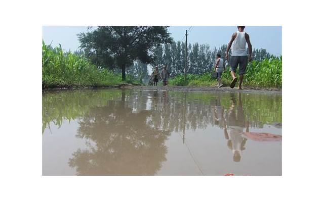 清明节祭英烈，怎样表达对逝去爱情的思念？