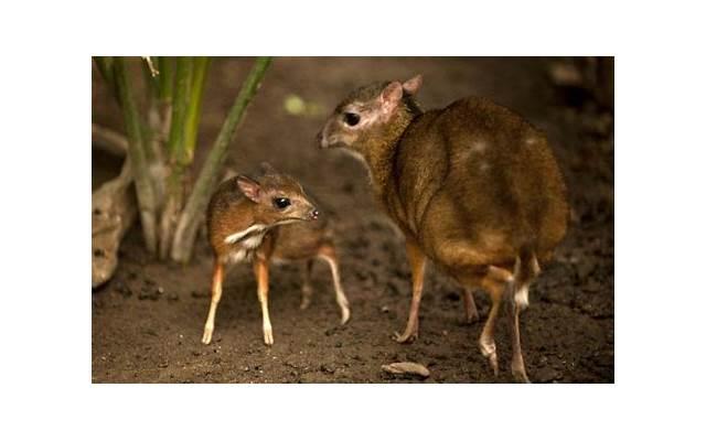 挽回婚姻的冷处理方法，挽回婚姻破裂？