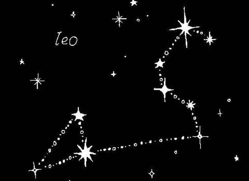 经常服用补肾药物会损坏肾脏吗？