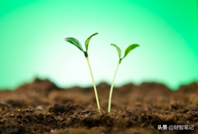 ​农业的“芯片”——种子，中国顶尖的七大种子企业