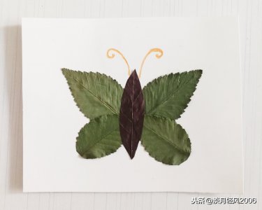​幼儿手工，非常简单的叶贴画，用叶子贴蝴蝶，有教程