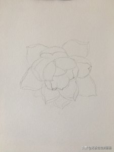 ​手绘美丽的《荷花》，步骤非常的简单，一看就会