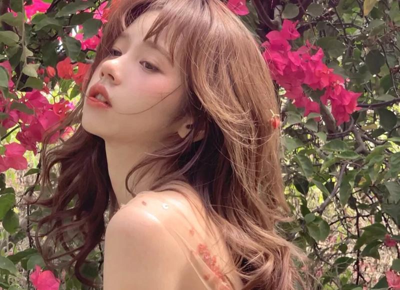 《海上繁华经典台词》精选25条