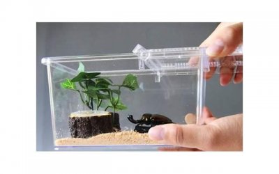 ​来做几种有趣心理测试 测测你的心理年龄多少岁