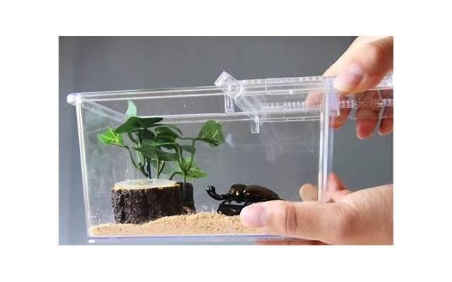 来做几种有趣心理测试 测测你的心理年龄多少岁