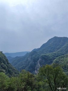 ​紫阳真人的教训