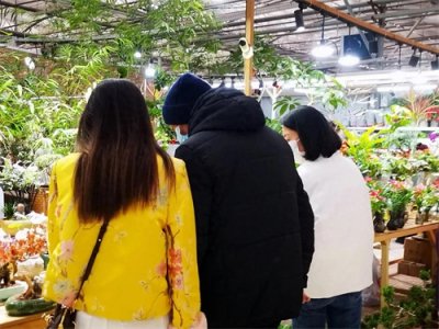 ​大年初一的郑州陈寨花卉市场热闹中有清香！