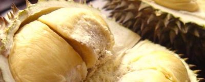 ​柿子能和榴莲一起吃吗? 柿子和榴莲可不可以一起吃