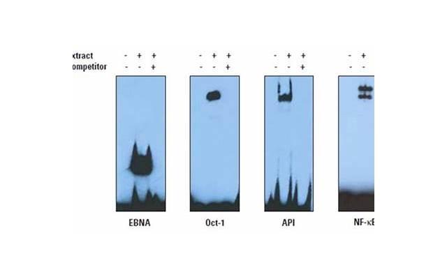 约会去哪里?适合大学生的4个最佳约会地点 约会去哪里?适合大学生的4个最佳约会地点