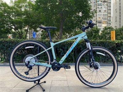 ​捷安特XTC 820：性价比之王，骑行者的明智之选